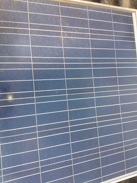 Glazenwasserij Rinie zonnepanelen5 vervuild